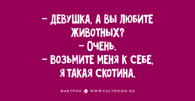 Десятка прекрасных анекдотов Десятка прекрасных анекдотов
