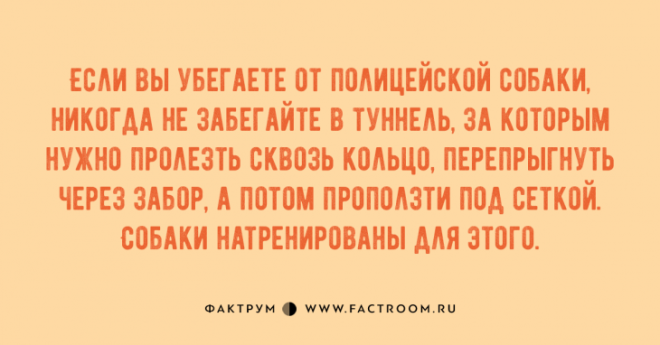 Чудные анекдоты, достойные вашего внимания Чудные анекдоты, достойные вашего внимания